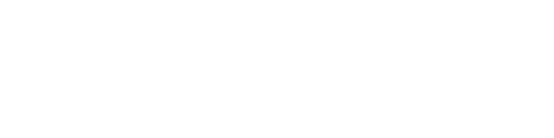 Simfly