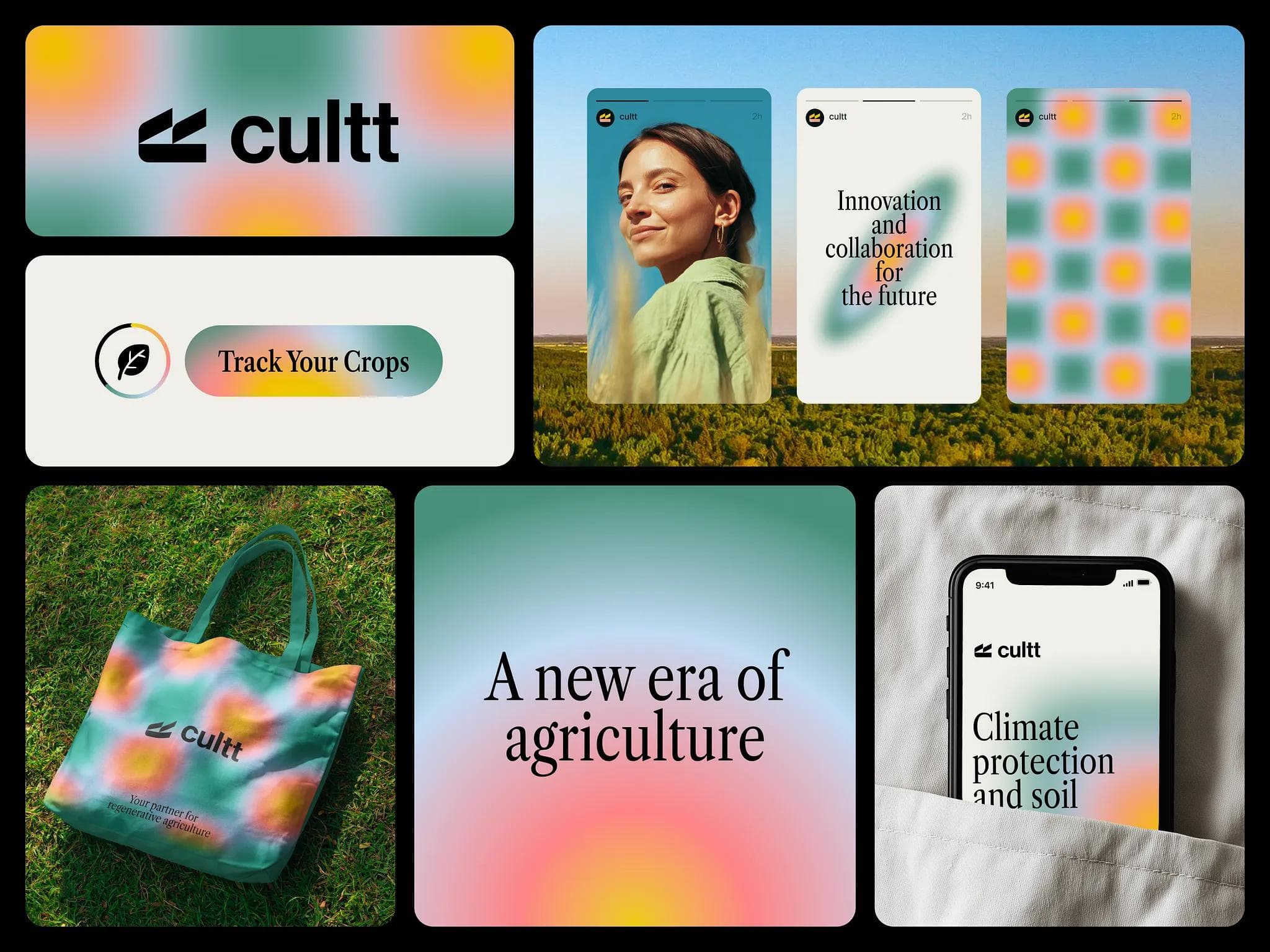 Companys Graphic Design Branding