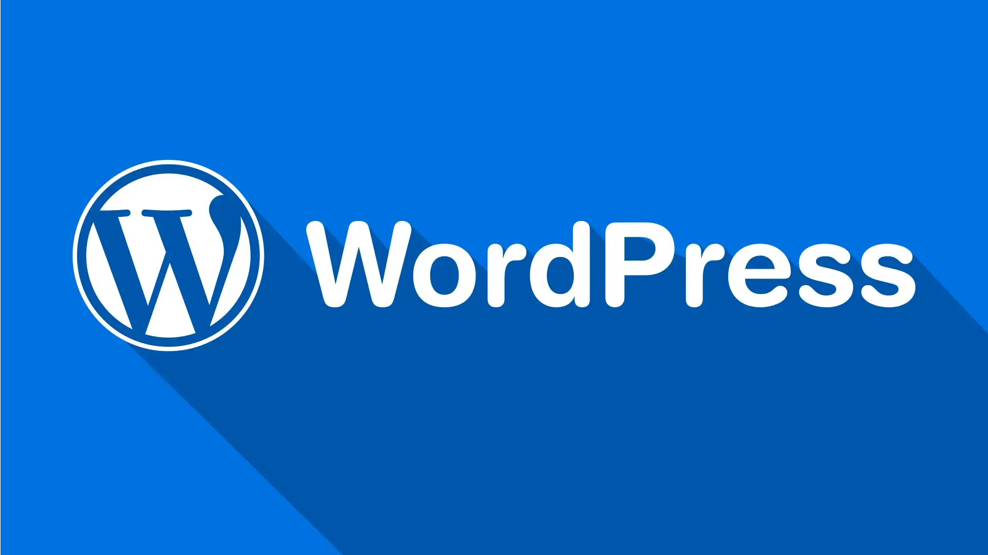 WordPress website speed optimization and performance troubleshooting guide
